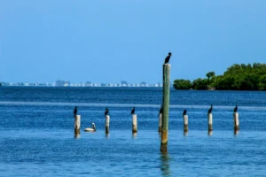 "Cover image of an article titled 'Top 10 Posts You Must Read in 2025 Now!', featuring a futuristic digital design."