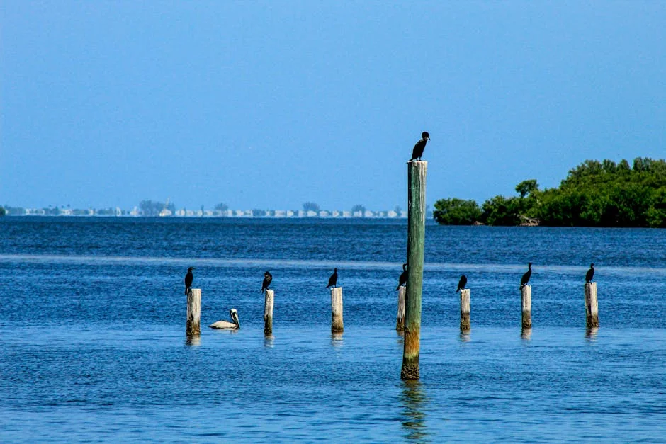 "Cover image of an article titled 'Top 10 Posts You Must Read in 2025 Now!', featuring a futuristic digital design."